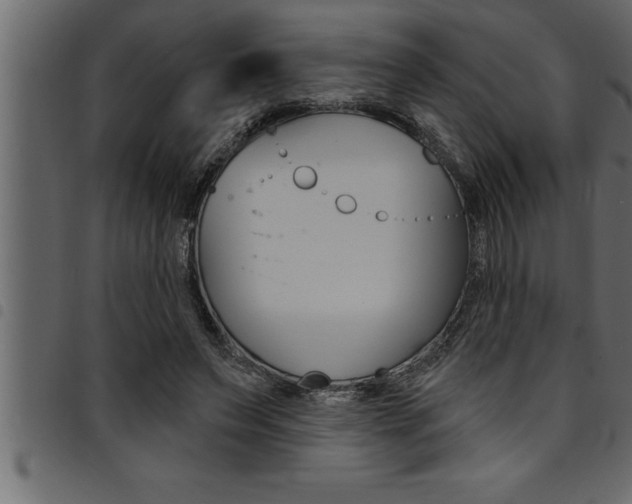 X0000094920495200711291026