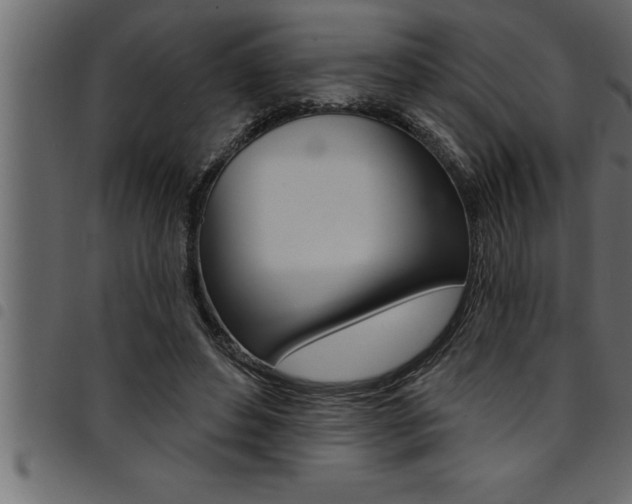 X0000094920496200711291026