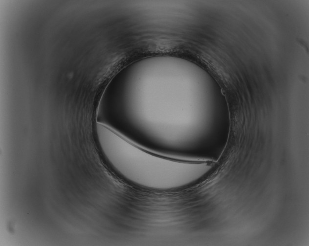 X0000094920497200711291026