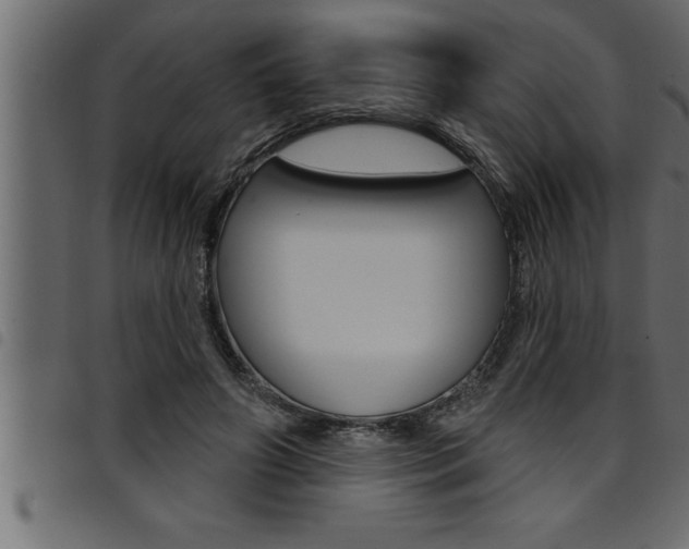X0000094920498200711291026