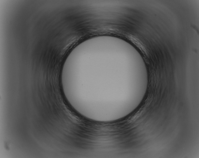 X0000094920501200711291026