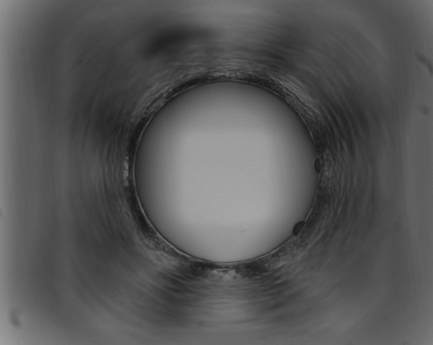 X0000094920502200711291026