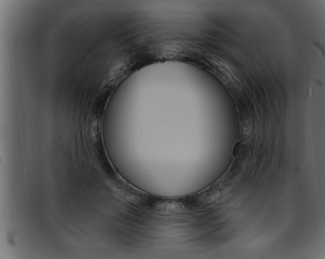 X0000094920503200711291026