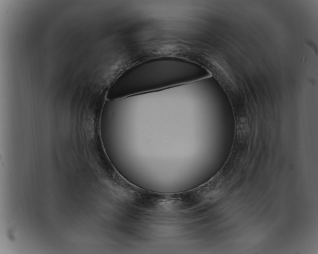 X0000094920504200711291025