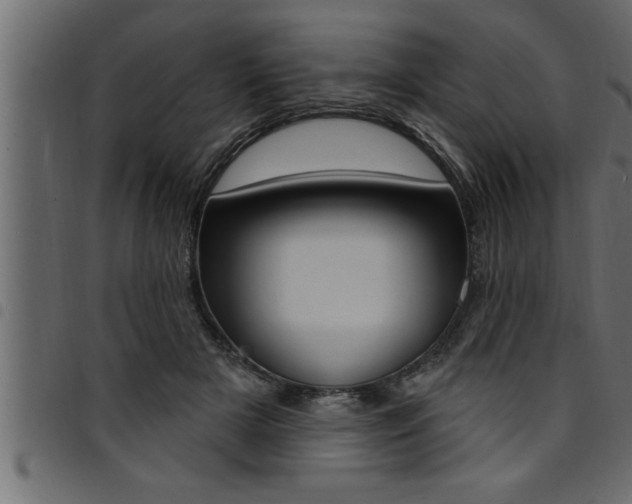 X0000094920505200711291025