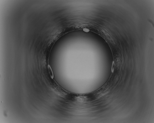 X0000094920508200711291025