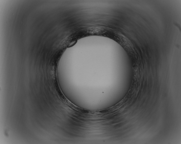 X0000094920510200711291025
