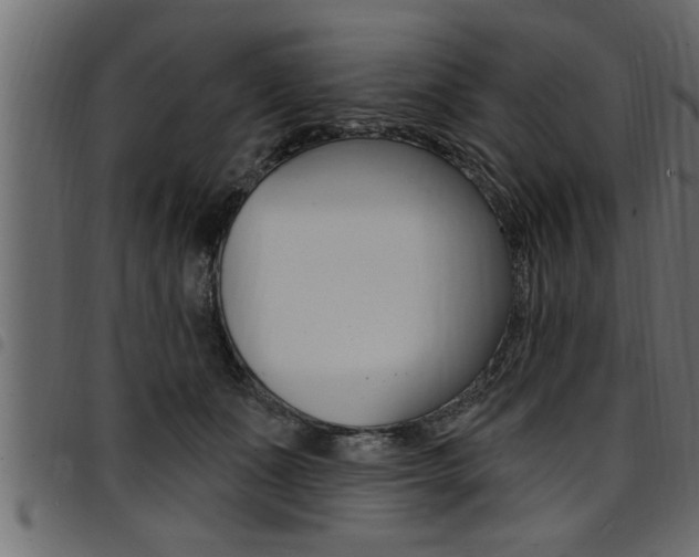 X0000094920511200711291025