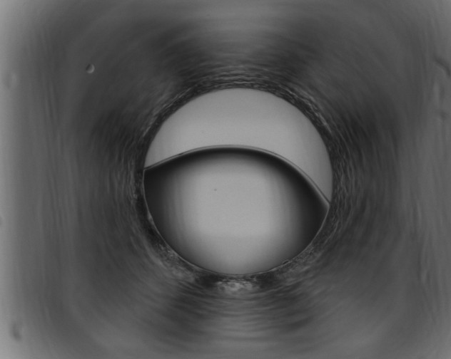 X0000094920512200711291025