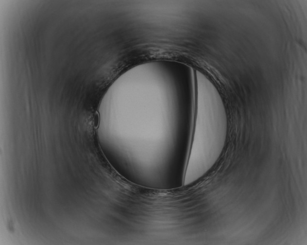 X0000094920513200711291025