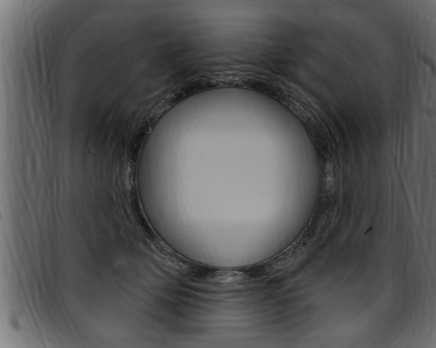 X0000094920514200711291025