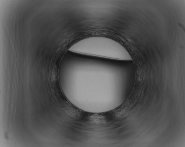 X0000094920515200711291025