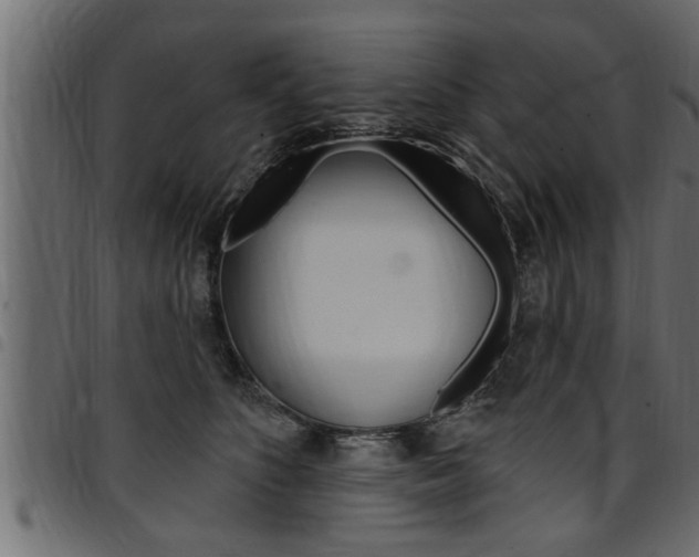 X0000094920516200711291025