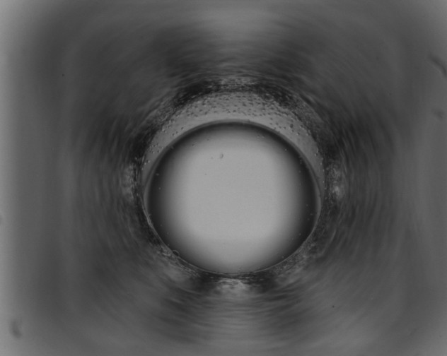 X0000094920519200711291025