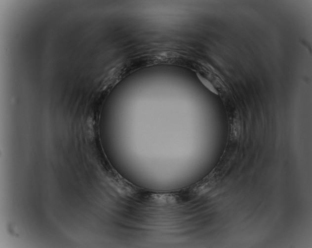 X0000094920520200711291025