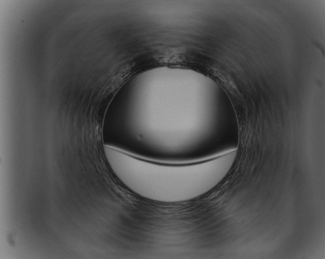 X0000094920521200711291025