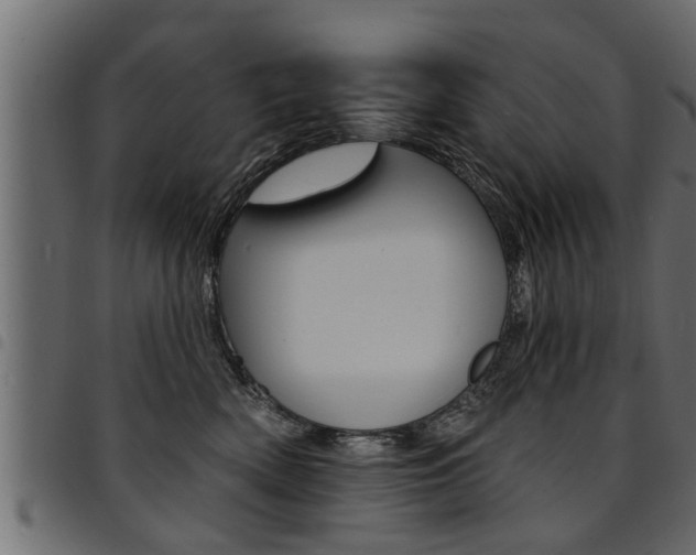 X0000094920522200711291025