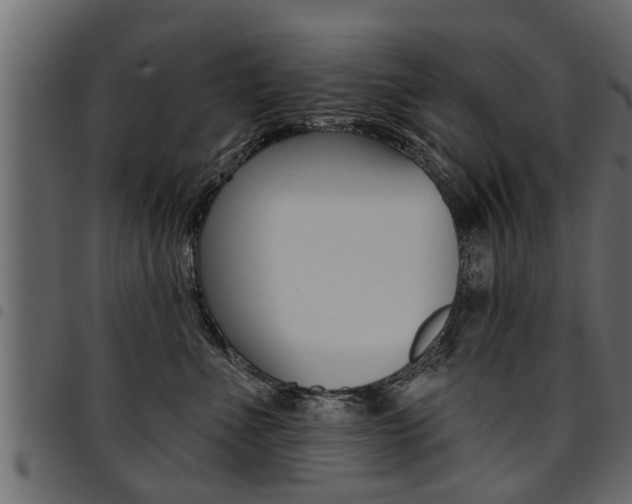 X0000094920523200711291025