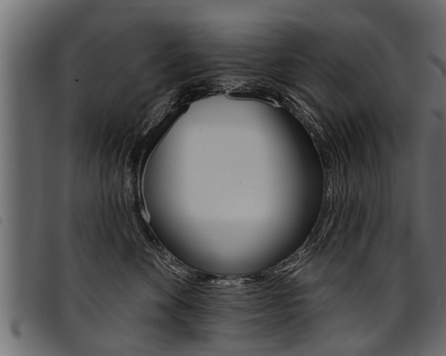 X0000094920524200711291025