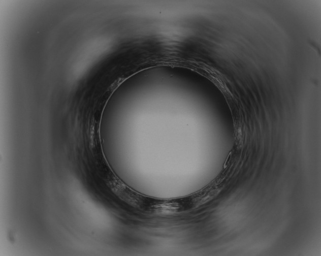 X0000094920525200711291025
