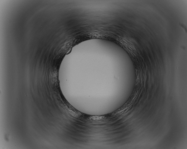 X0000094920526200711291025