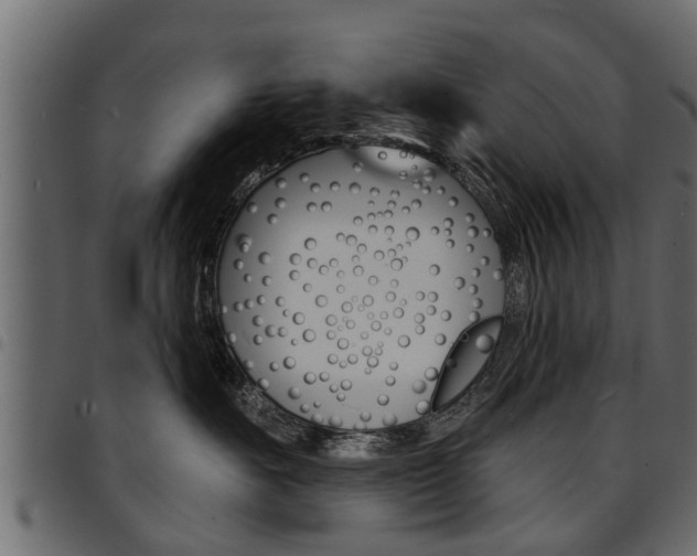 X0000094920527200711291025