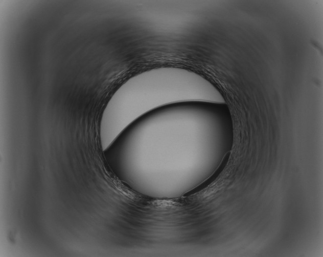 X0000094920528200711291025