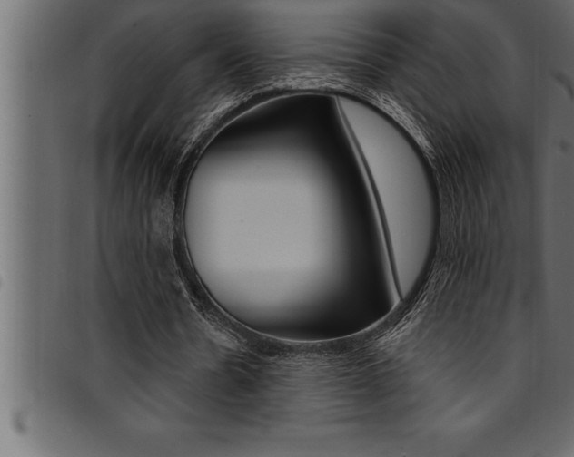 X0000094920530200711291024