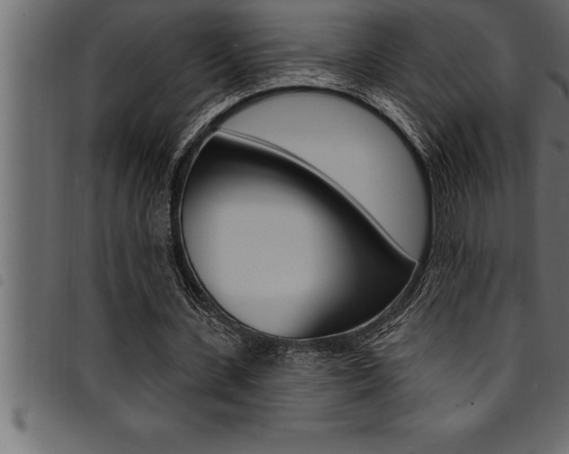 X0000094920531200711291024