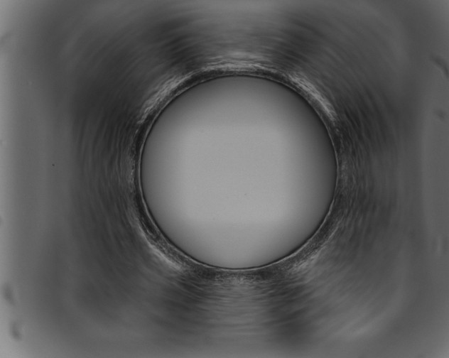 X0000094920533200711291024
