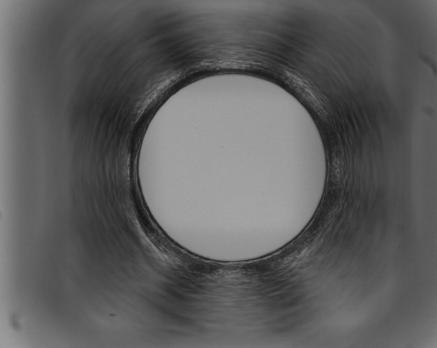 X0000094920534200711291024