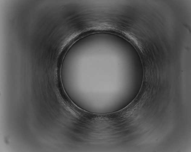 X0000094920535200711291024