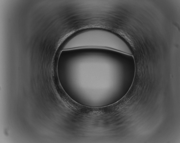X0000094920536200711291024