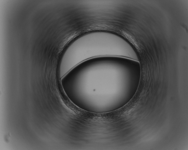 X0000094920538200711291025
