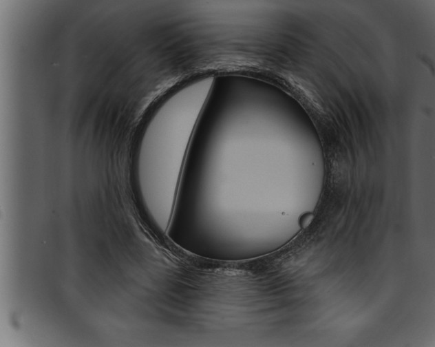 X0000094920539200711291025