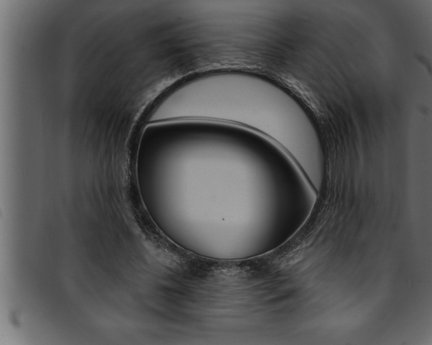 X0000094920540200711291025