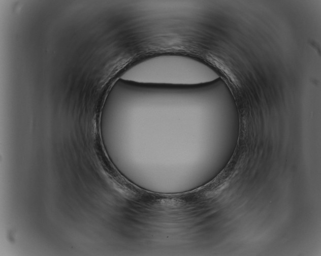 X0000094920541200711291025