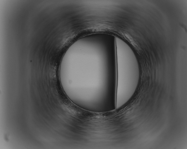 X0000094920543200711291025