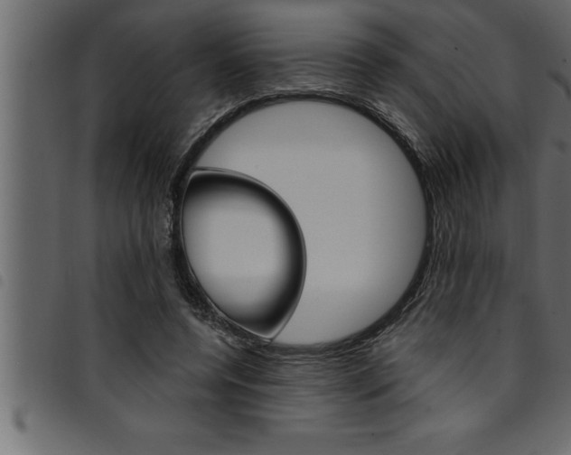 X0000094920544200711291025