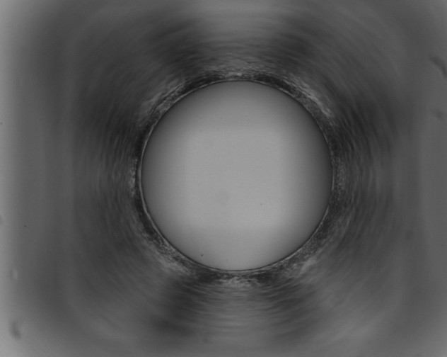 X0000094920545200711291025