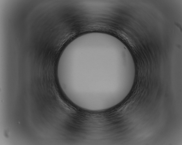 X0000094920546200711291025