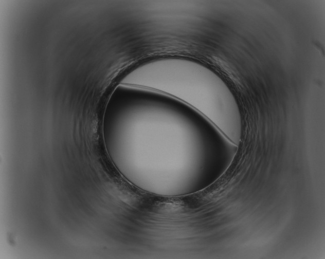 X0000094920548200711291025
