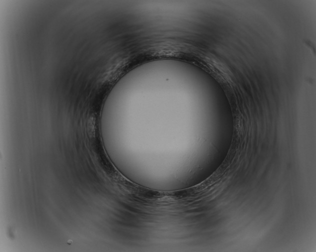 X0000094920551200711291025
