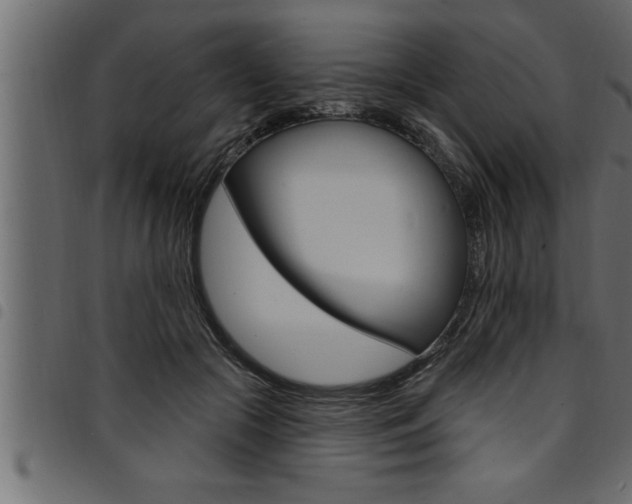 X0000094920553200711291025