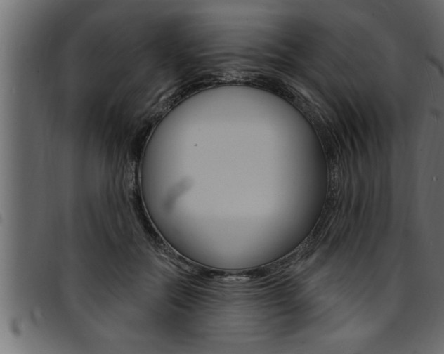 X0000094920554200711291025