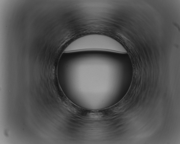 X0000094920556200711291025