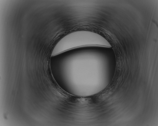 X0000094920558200711291025