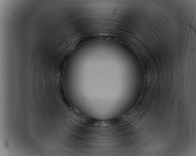 X0000094920559200711291025