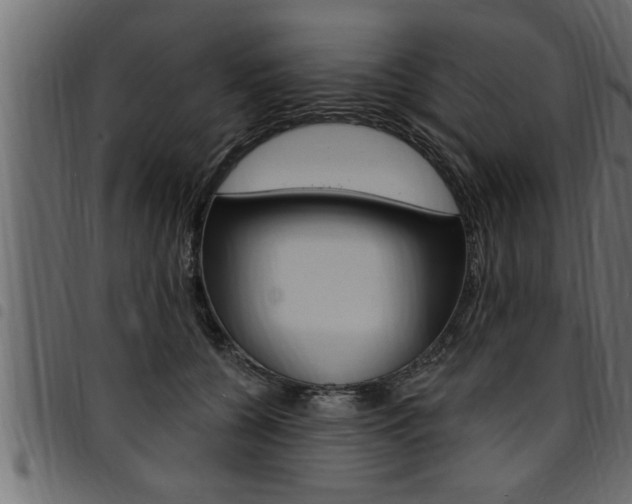 X0000094920560200711291025