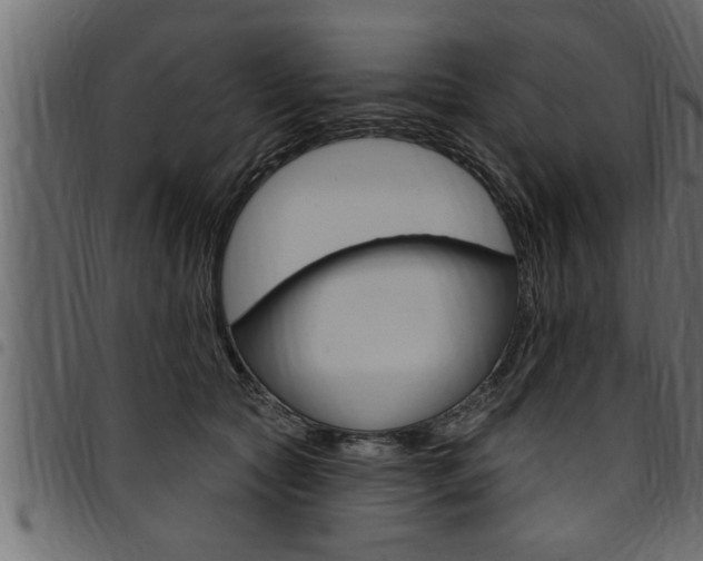 X0000094920561200711291025